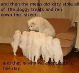 ATT00040.jpg 1234.webp