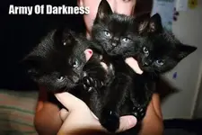 429118_384745694949295_1338143784_n.webp