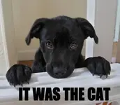 644401_484889841556876_1355317847_n.webp
