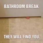 61030_383931358366847_1865982885_n.webp