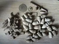 Metal Detecting 2013 099.webp
