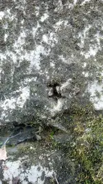 picture.webp