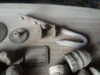 Metal Detecting 2013 101.webp