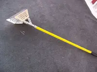 New%20Scoop#1.webp