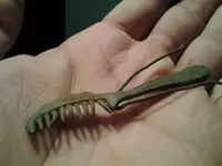 20121218_233447.webp