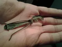 20121218_233503.webp