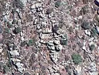 CAVERNA   trap.webp