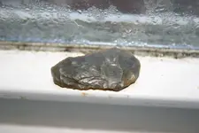 gems and arrow head 019.webp