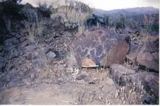 Earth Medicine Man.webp