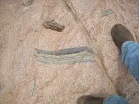 SandstoneinGranite.webp