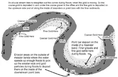 gold travel.webp