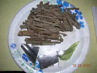 DSCN5848.webp