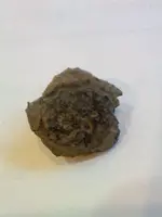 clover button front.webp