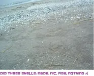 DSCF1931.webp