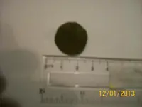 100_5514[1].webp