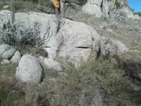 More Trail Signs 019.webp