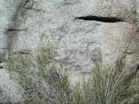 More Trail Signs 020.webp