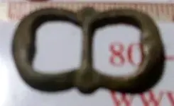 buck 006.webp