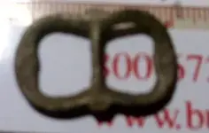 buck 007.webp