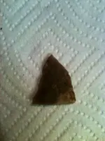 image-2231594413.webp