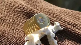 18K Ringzilla4.webp