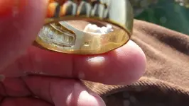 18K Ringzilla1.webp