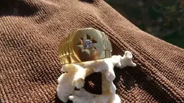 18K Ringzilla3.webp