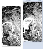 Rock image.webp
