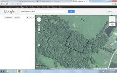 looking.webp