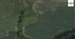 drowsing3.webp