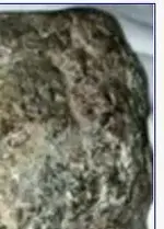 Cat in the stone.webp