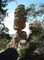arizonad.webp