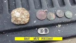 0118NUT.webp