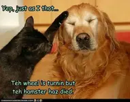 hBCCB66DD.webp