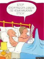walking-stick.webp