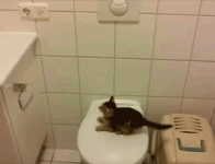 h388B3E0C.gif