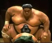 RigngZilla Sumo.webp
