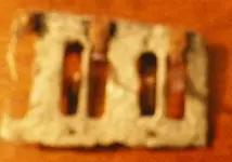 100_0778.webp