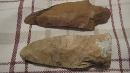 Picture 203.webp