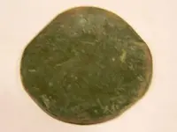 DSCN3462.webp