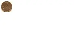 Untitled.webp