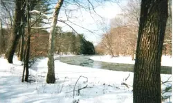 479980_458543364183639_1597196563_n.webp