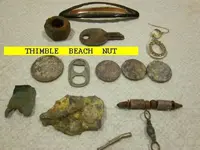 0112NUT.webp