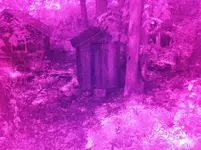 ir pics 10 sep 2012 013.webp