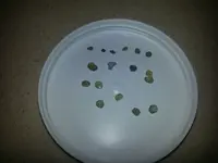 20130105_162111.webp 20130105_162111.webp