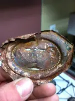 brooch2.webp