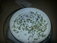 20130105_162453.webp
