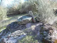 TrailMarkers 004.webp