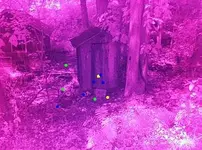 ir pics 10 sep 2012 013.webp