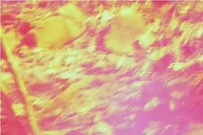 backyard strange hit area 4.webp
